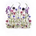 francybag @francybag profile image