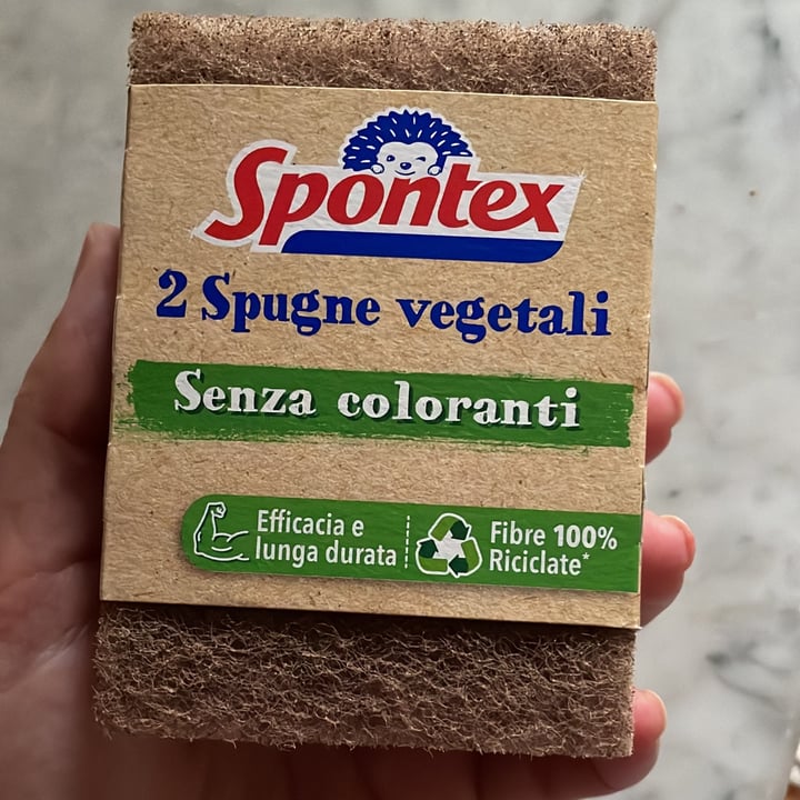 photo of Spontex Spugne vegetali shared by @hazelrose16 on  10 Oct 2022 - review
