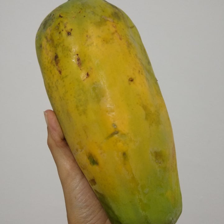 review photo of Mamão Fruta mamão shared by @lucianealves on 11 May 2022 - review