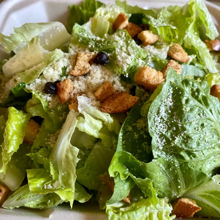 photo of The Butcher’s Son Caesar salad shared by @sandrews on  28 Oct 2022 - review