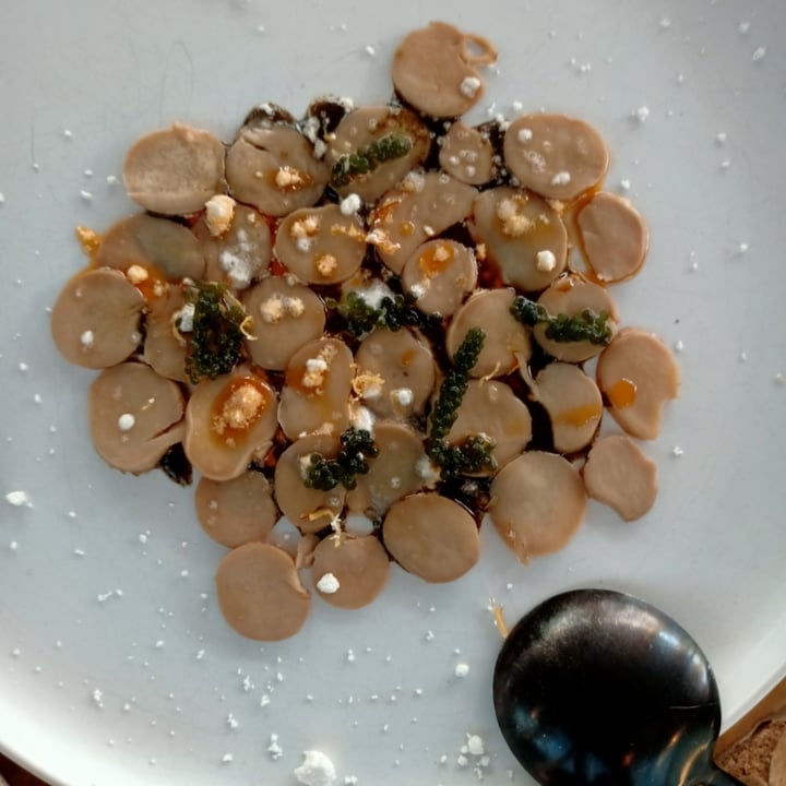 photo of Analogue Mushroom Ceviche shared by @skootykoots on  12 May 2022 - review
