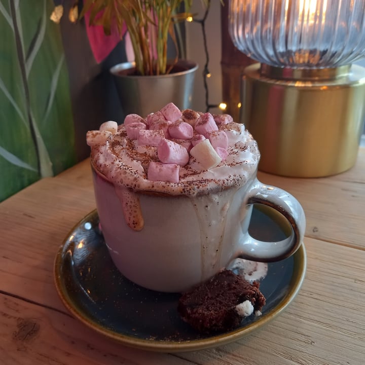 photo of Roots Lounge Bude Deluxe hot chocolate shared by @trailrunningman on  19 Jan 2022 - review