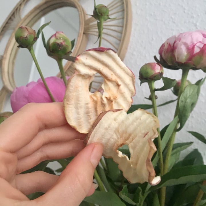 review photo of Trader Joe's Apple Chips shared by @nicolex on 26 Jun 2021 - review
