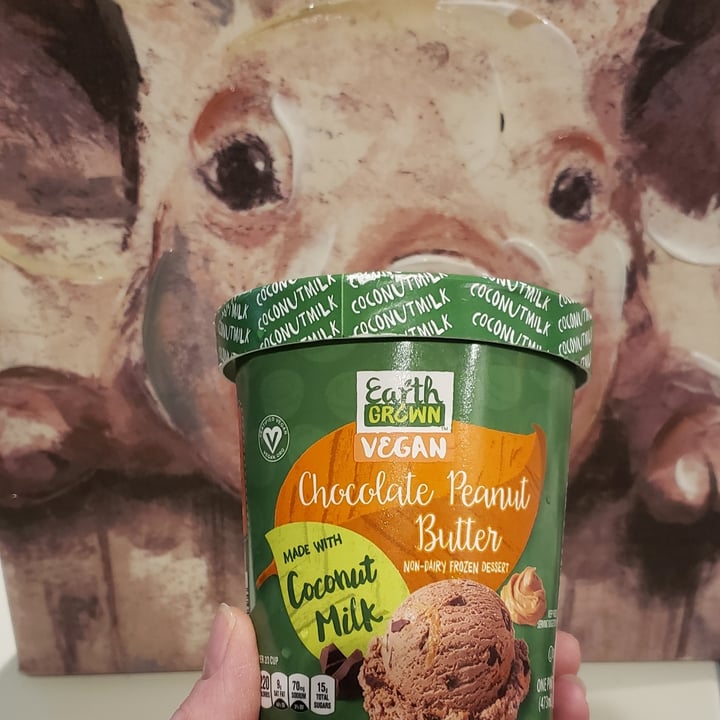 photo of Earth Grown Chocolate peanut butter coconut milk ice cream shared by @ambularfortheanimals on  27 Jul 2020 - review