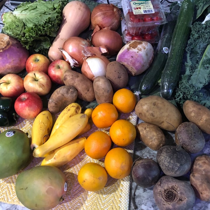 review photo of Misfits Market Mix Box shared by @norabea on 06 Jul 2020 - review