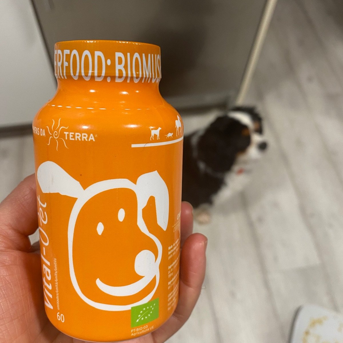 Hifas da terra Vital Pet Reviews abillion