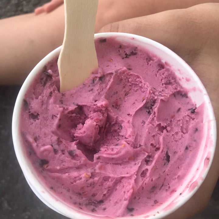 review photo of Ainara Helados Veganos 1/4 frutilla con chips de chocolate shared by @seis on 13 Dec 2020 - review