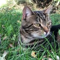 weepingwillow0 @weepingwillow0 profile image