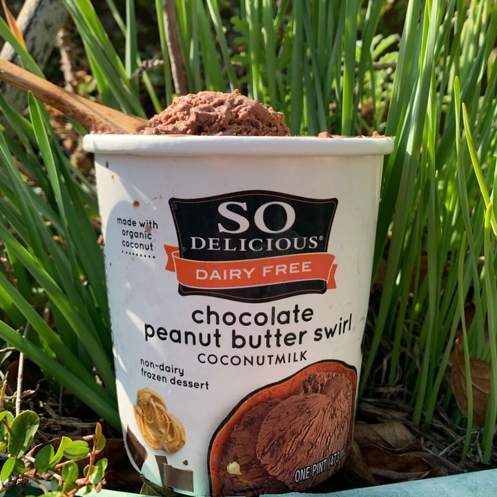 photo of So Delicious Dairy Free Chocolate Peanut Butter Swirl shared by @unejanie on  19 Jan 2022 - review