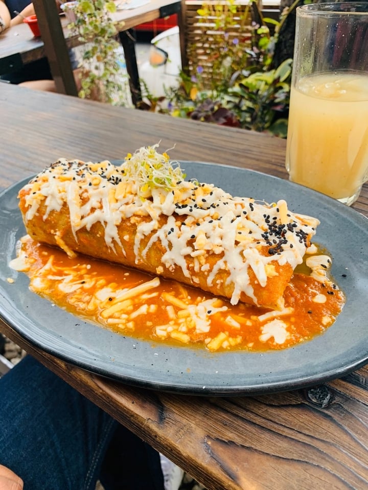 photo of Veguísima Burrito Beyond Bañado shared by @georginaleal on  29 Nov 2019 - review