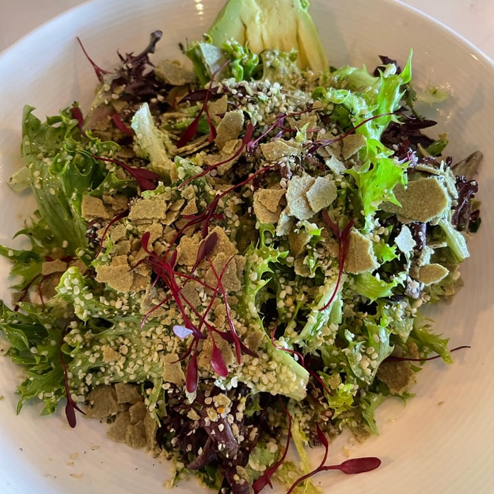 photo of MOOD Santa Maria Salad shared by @sangria on  20 May 2022 - review