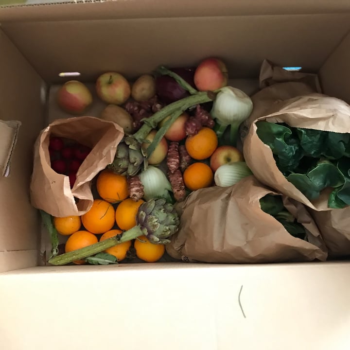 photo of Babaco box Jungle box shared by @roru on  12 Apr 2022 - review