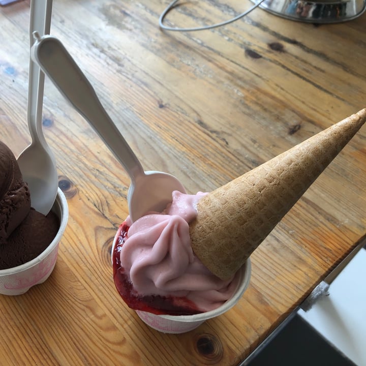 photo of Little Jo Berry's Bakery Strawberry Rhubarb soft serve shared by @catharcy on  22 Aug 2021 - review