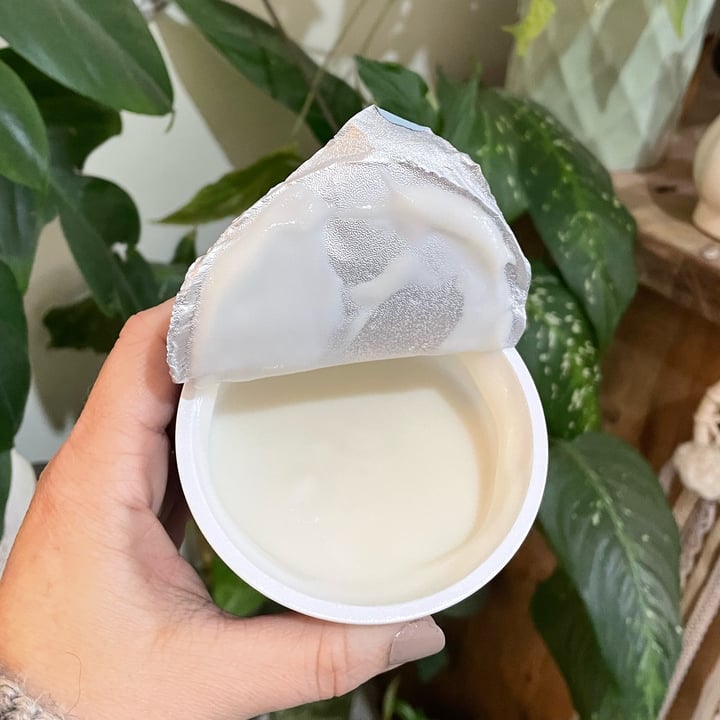 photo of Qymia yogurt a base de coco y vainilla sin azucar agregada shared by @pini2308 on  06 Sep 2022 - review