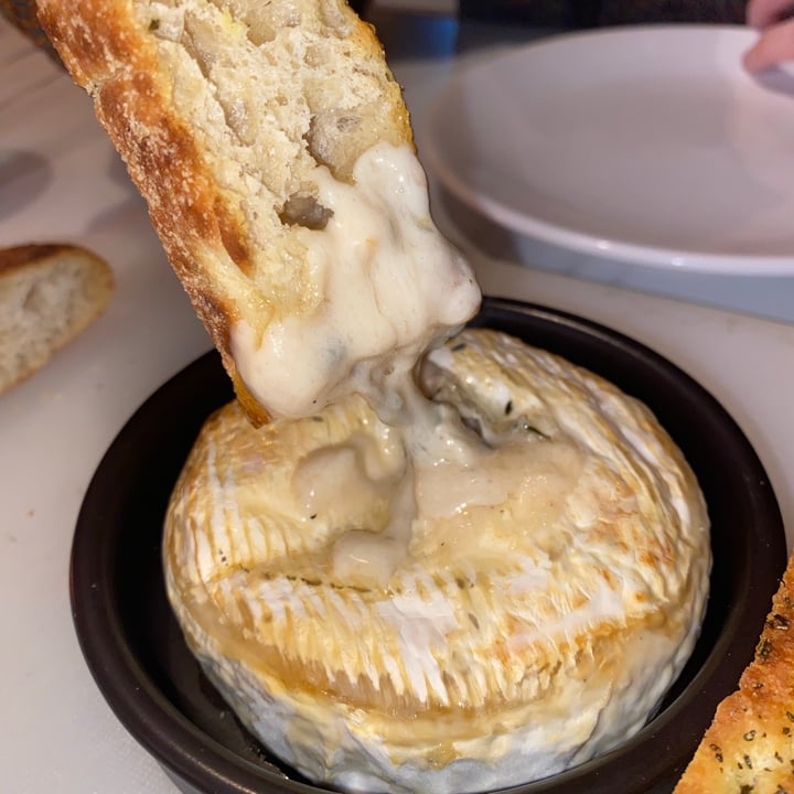 photo of Honestly Tasty Shamembert vegan cheese shared by @devon0 on  15 Dec 2020 - review