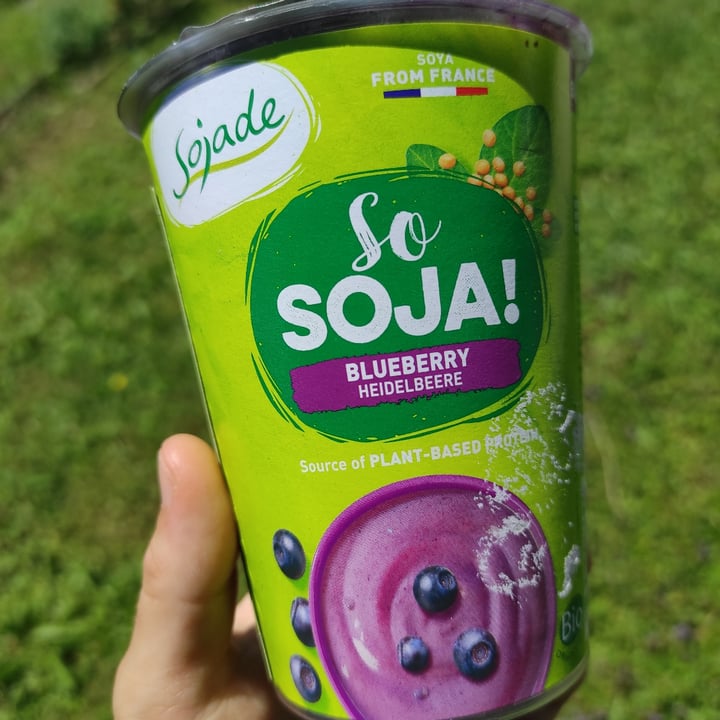 photo of Sojade Yogurt soia e mirtillo shared by @tere99 on  11 Jul 2022 - review