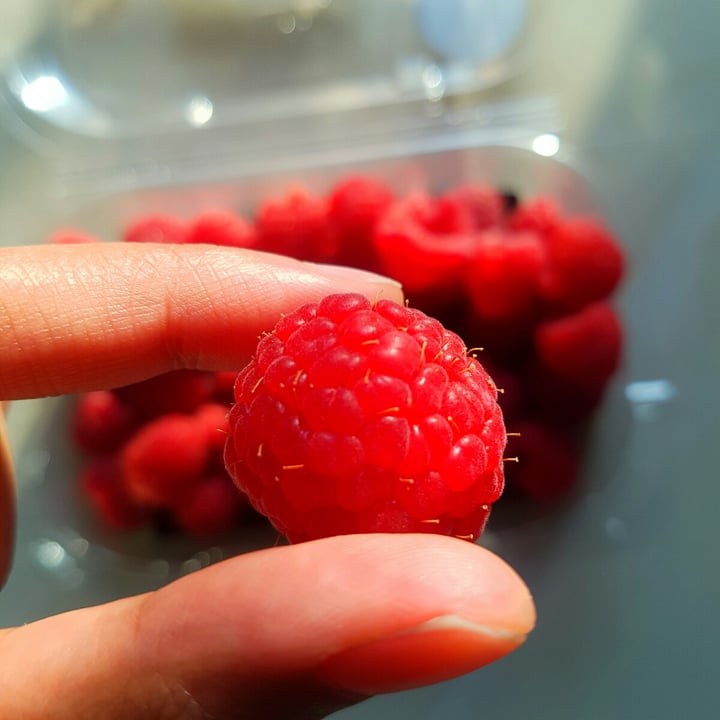 photo of Woolworths Food Raspberries shared by @greenbeang on  14 Jun 2021 - review