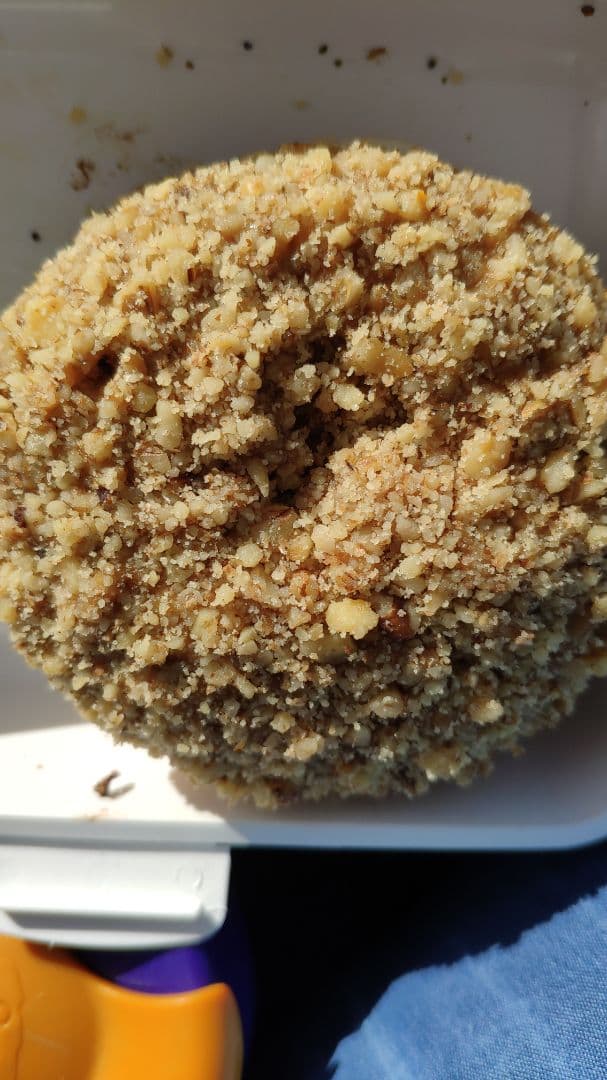 菜肴“Vegan Hazelnut Chocolate Donut”的照片
