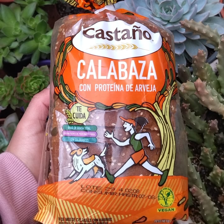 photo of Castaño Pan De Molde Calabaza shared by @camilix on  03 Aug 2022 - review