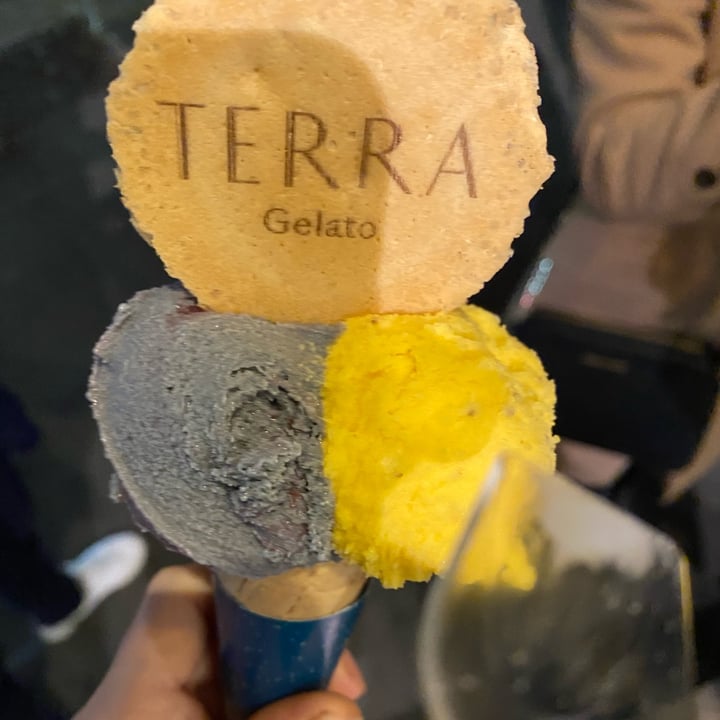 review photo of Terra gelato Sesamo E Confettura + Mango shared by @annaarcidiacono on 22 Oct 2022 - review
