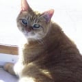 poisonsuemac @poisonsuemac profile image