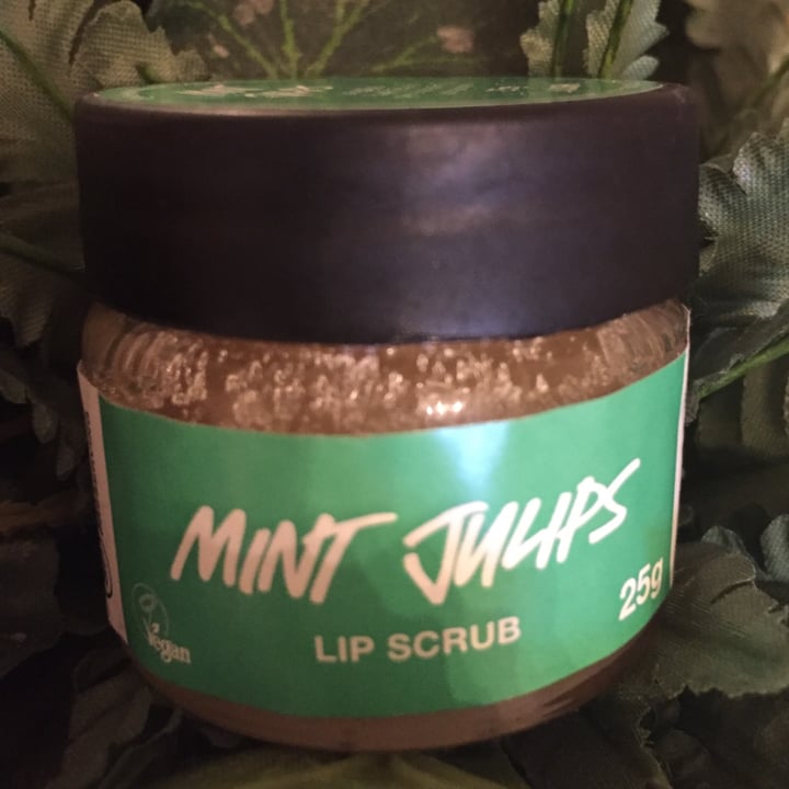 photo of LUSH Fresh Handmade Cosmetics Mint Julips lip scrub shared by @kindr-planet on  18 Jul 2021 - review