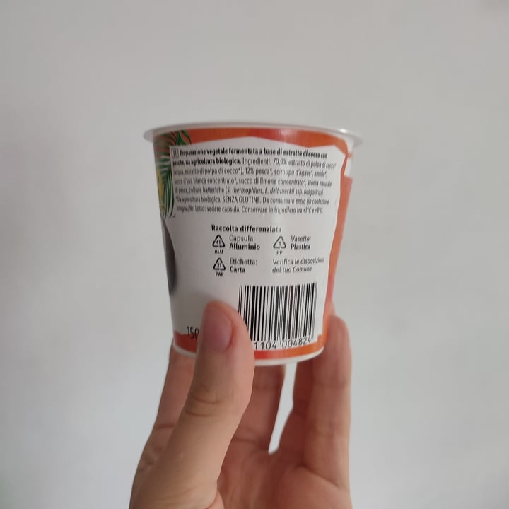 review photo of Vemondo Bio Organic Coco Pesca shared by @camillafer on 10 Sep 2022 - review
