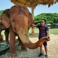 deepaknk @deepaknk profile image
