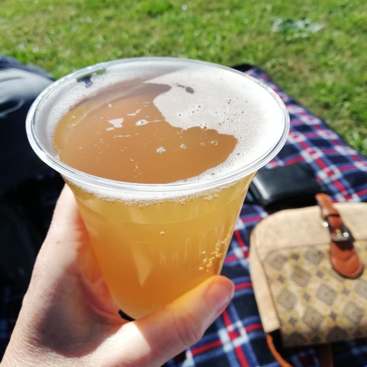 photo of Wild Leaf Brew Apple and Ginger kombucha shared by @simonel on  01 Sep 2020 - review