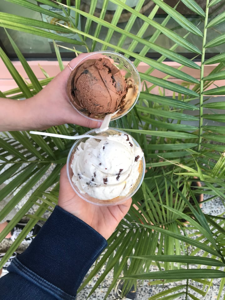 photo of Umaluma Dairy-Free Gelato Salted caramel and mint chocolate ice cream shared by @mayaswift on  27 Apr 2018 - review