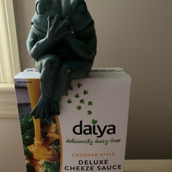 photo of Daiya Cheddar Style Deluxe Cheeze Sauce shared by @onehungryvegan on  11 Jan 2021 - review