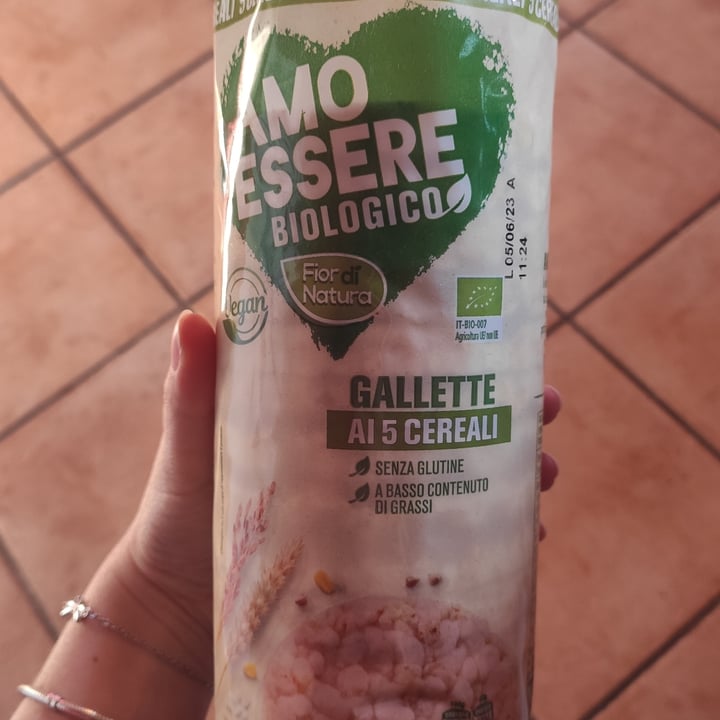 photo of Fior di Natura Gallette ai 5 cereali shared by @nietzscha on  17 Jan 2022 - review