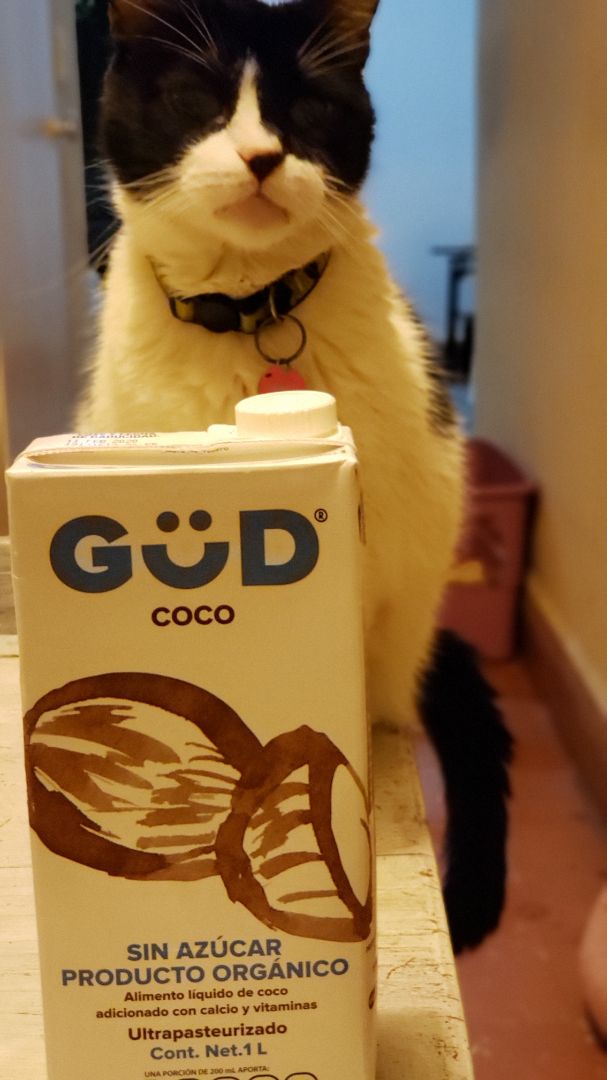 photo of GüD Alimento Líquido de Coco Orgánico shared by @blankapola on  20 Jan 2020 - review