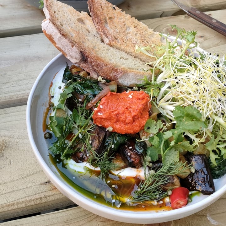 review photo of FACTORY GIRL VEGAN TURK' S MOM ÇILBIR shared by @giusteat on 13 Nov 2022 - review