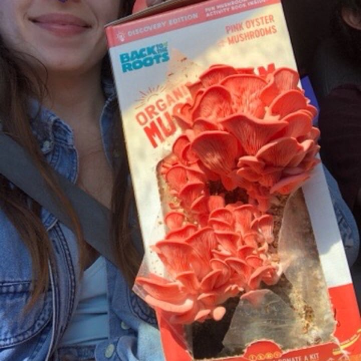 photo of Back to your roots Oyster Mushrooms shared by @mademosielle on  28 May 2020 - review