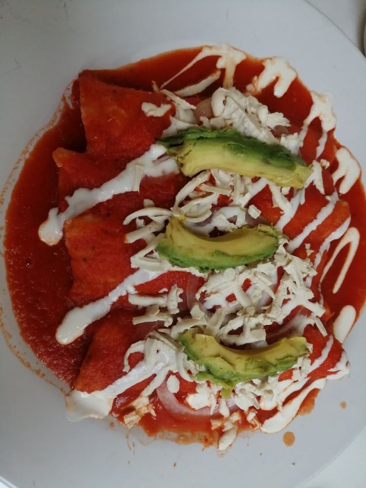 photo of Loving Hut Xalapa Enchiladas de papa shared by @cryturbate on  10 Jan 2020 - review