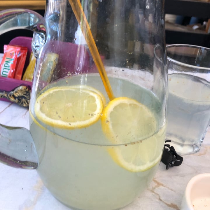 review photo of El Palacio Vegano Limonada shared by @gbrito on 21 Oct 2021 - review