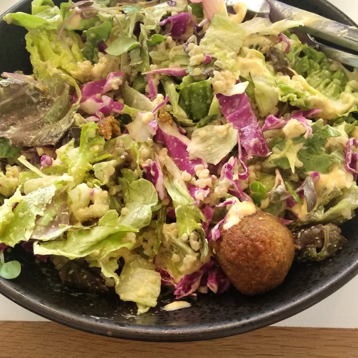 photo of Sweetbeet Falafel of Dreams shared by @happygirljen on  28 Mar 2022 - review