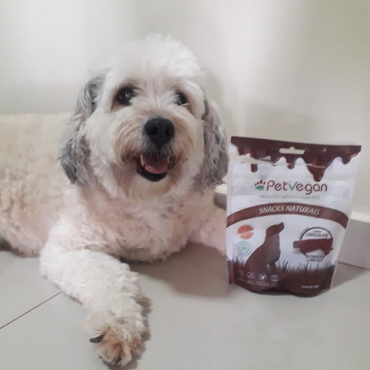 review photo of Petvegan Snacks Naturais Chocolate shared by @kelly34 on 30 Oct 2022 - review