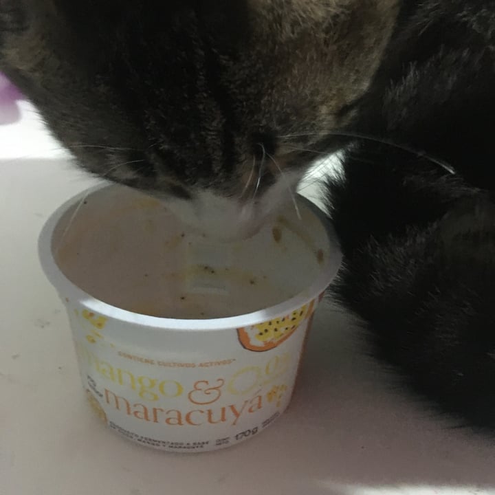 review photo of Quimya Yogurt Mango Maracuya shared by @magsss on 19 Nov 2021 - review