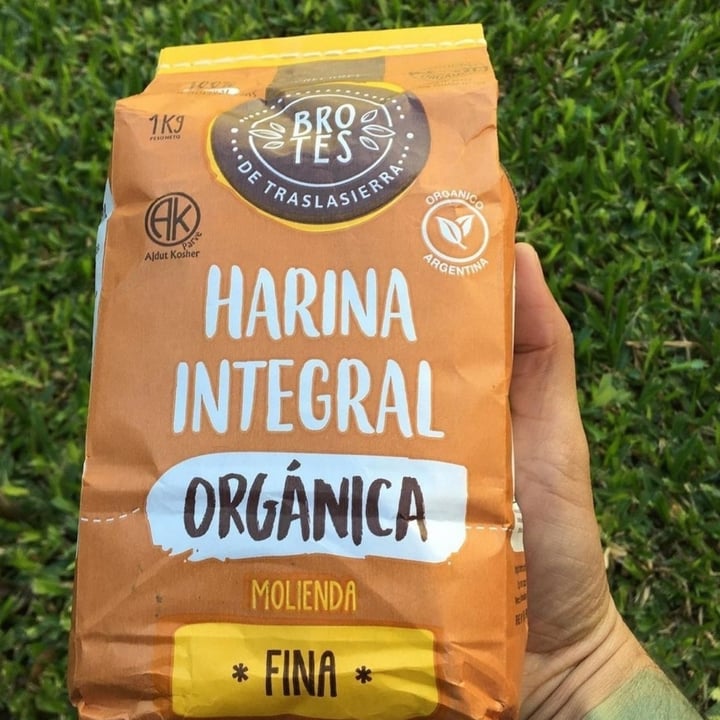 photo of Brotes de Traslasierra Harina Integral Orgánica Molienda Fina shared by @fatimafit on  25 May 2021 - review