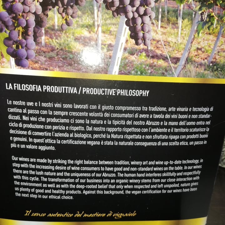 photo of Cantina Il Cerretano Montepulciano d'Abruzzo - Bio Angizia shared by @antonella58 on  02 Jul 2022 - review