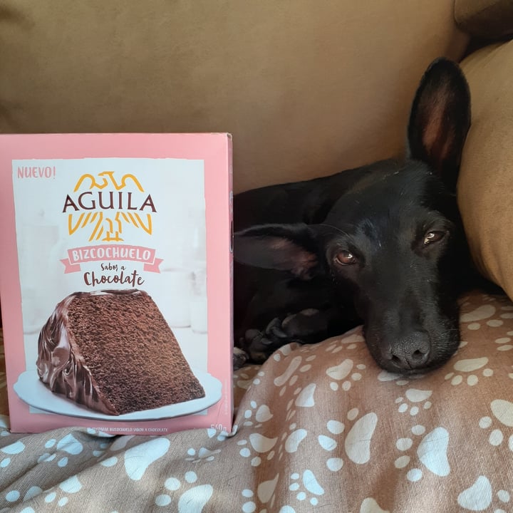 photo of Aguila Bizcochuelo Sabor Chocolate shared by @lalaveg on  19 May 2021 - review
