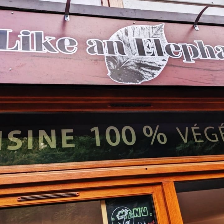 review photo of Like An Elephant Seitan shared by @stephsv on 02 Aug 2022 - review