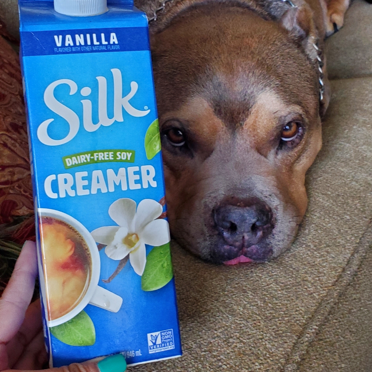 Silk Dairy Free Soy Vanilla Creamer Reviews abillion
