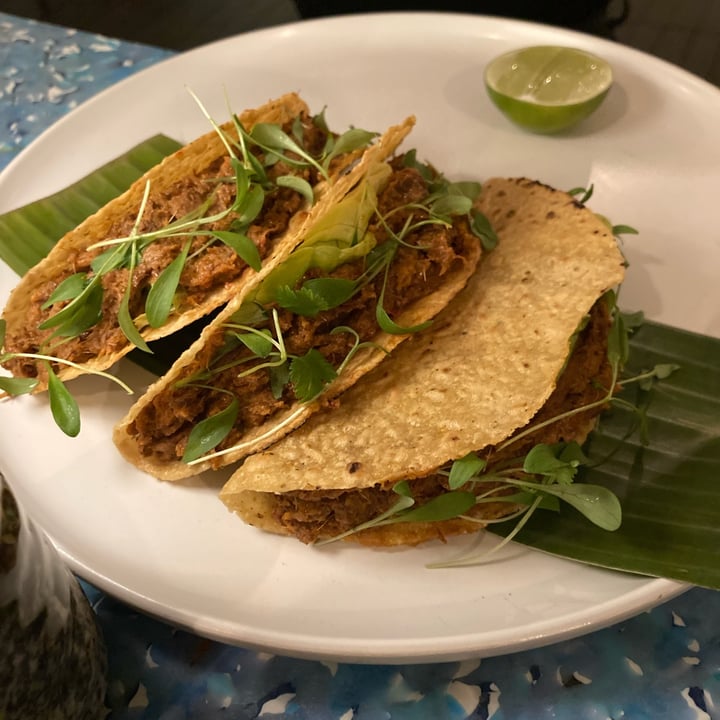 photo of Analogue Jackfruit Tacos shared by @hownowbrownkow on  05 Jan 2022 - review
