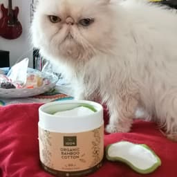 Greenzla