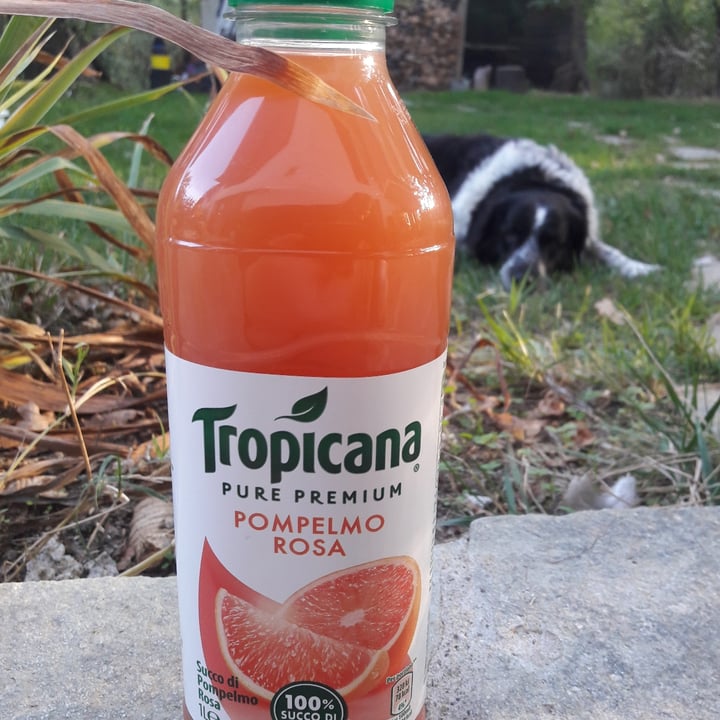 photo of Tropicana Pompelmo rosa shared by @giuliacarosio on  16 Oct 2021 - review