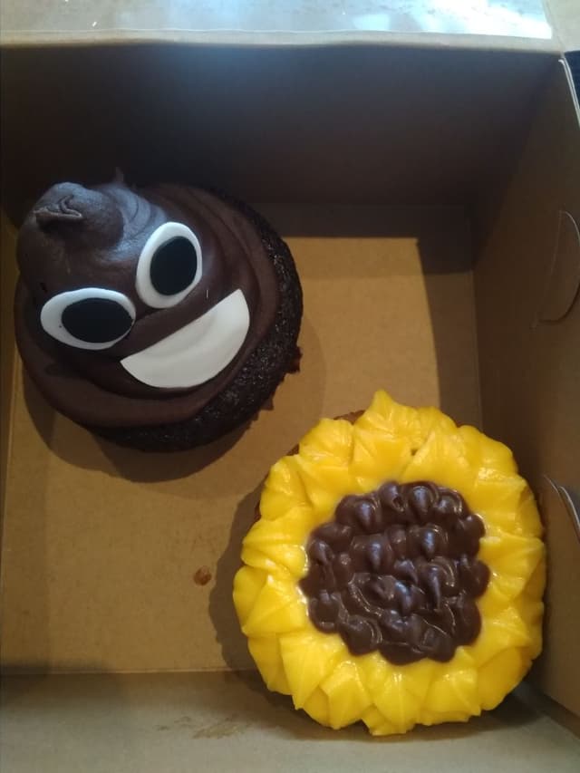 Photo of the dish “Vegan Chocolate Cake and Vanilla Stuffed Cake”