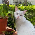 @sofie14 profile image